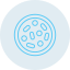 petri-dish icon