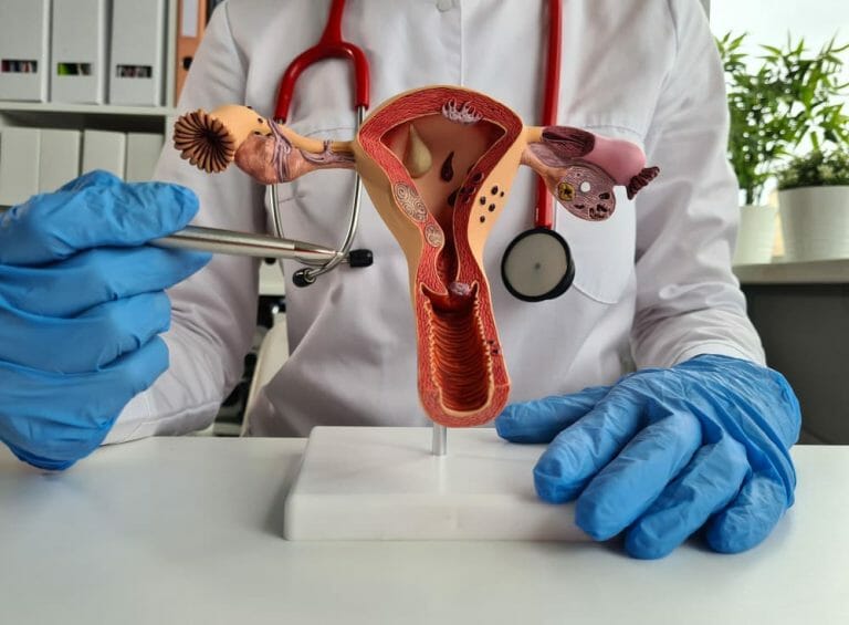 Quimioterapia y fertilidad femenina