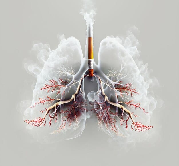 Respira Tranquilo: Guía Completa sobre Prevención y Detección del Cáncer de Pulmón
